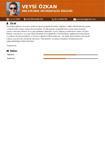 Mekatronik Mühendisliği Cv Örnekleri cv indir